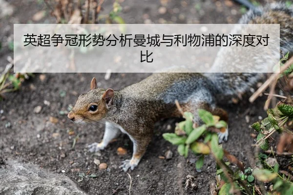 英超争冠形势分析曼城与利物浦的深度对比
